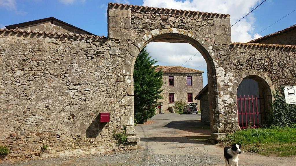 Logis De Riparfonds Bressuire Exterior foto